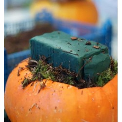 Workshop Zucca Fiorita a Bologna | Olivia Brusca
