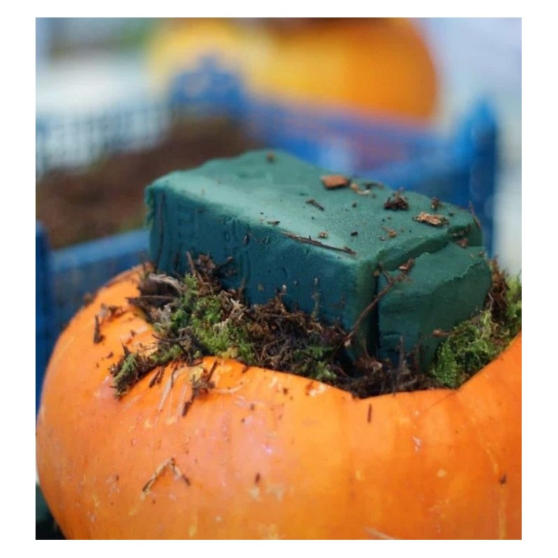 Workshop Zucca Fiorita a Bologna | Olivia Brusca
