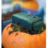 Workshop Zucca Fiorita a Bologna | Olivia Brusca