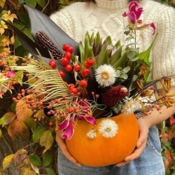 Workshop Zucca Fiorita a Bologna | Olivia Brusca