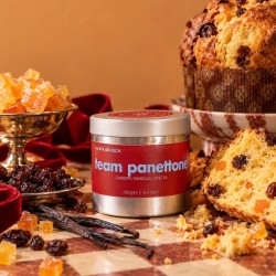TEAM PANETTONE | Candela natalizia | Olivia Brusca