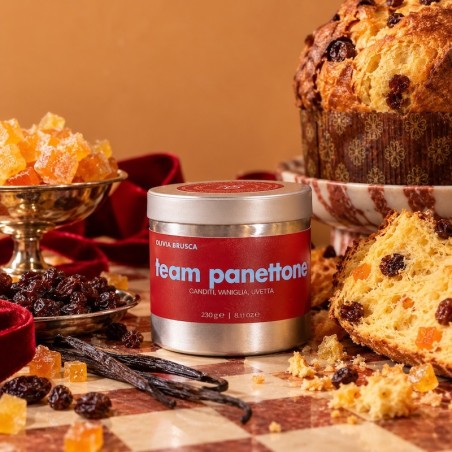 TEAM PANETTONE | Candela natalizia | Olivia Brusca