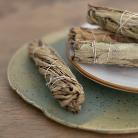 Yerba Santa